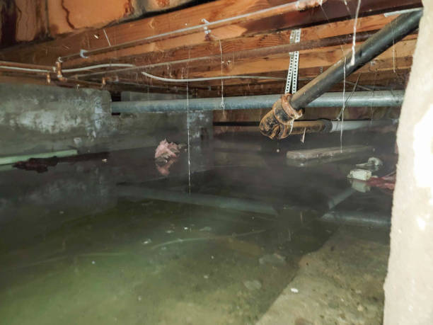 Batavia, IL Water damage restoration Company