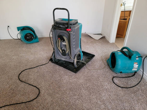 Best Ceiling water damage repair  in Batavia, IL