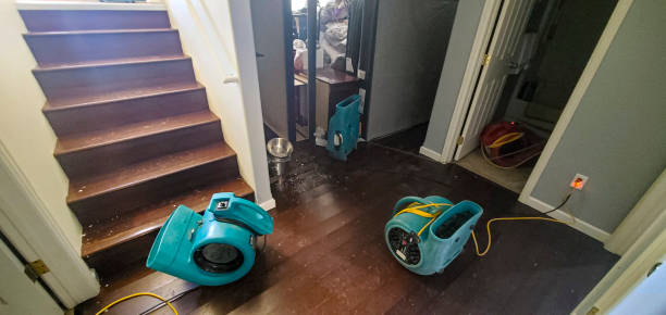 Best Basement water damage restoration  in Batavia, IL