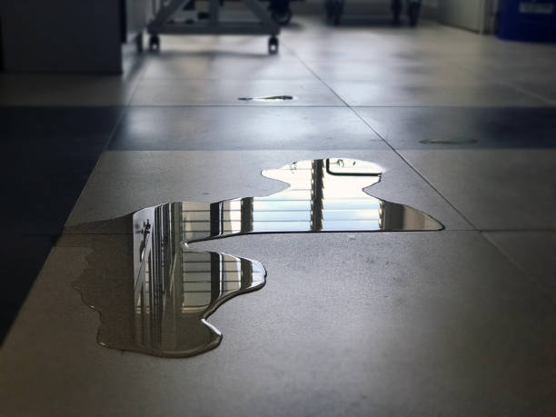 Best Professional water damage repair  in Batavia, IL