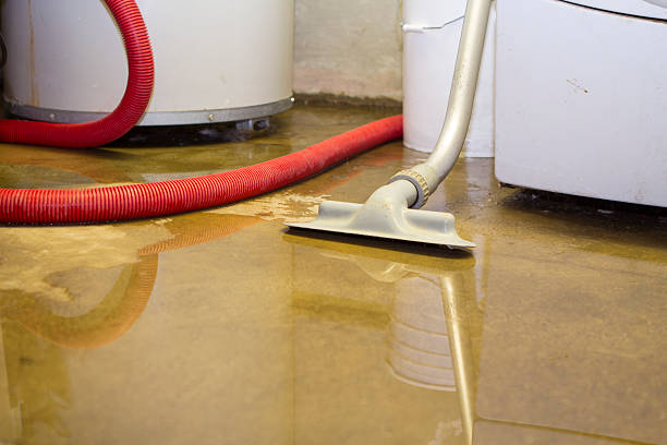 Best 24/7 water damage repair  in Batavia, IL
