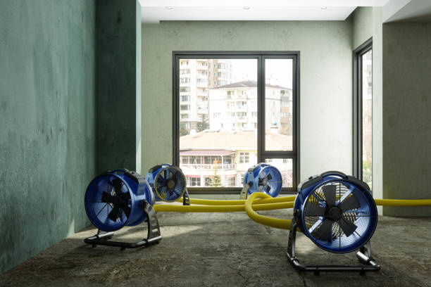 Best Flood restoration services  in Batavia, IL