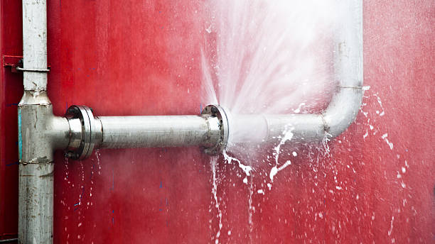 Best Water damage contractors near me  in Batavia, IL